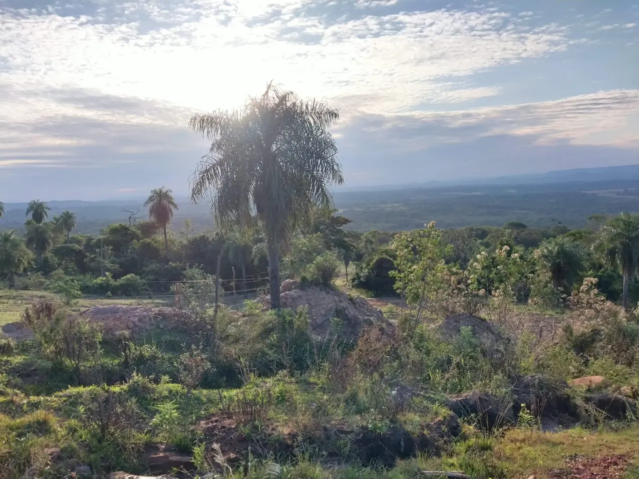 La communauté française au Paraguay